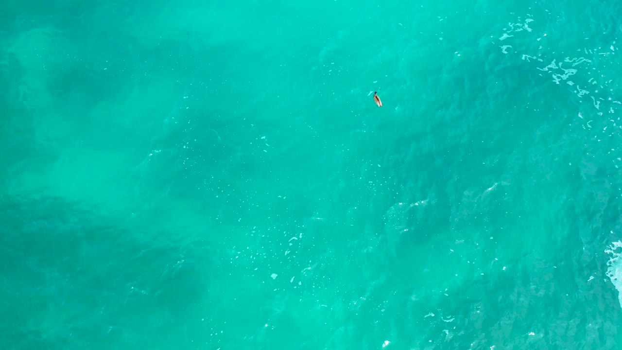 High overhead view at Secrets Marquis Los Cabos, Mexico, showing clear turquoise ocean, soft darker shapes under the water, and a tiny orange-and-white boat or surfer near the upper right, no visible people.