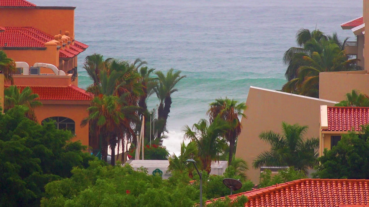 San Jose Del Cabo rental buildings are partially screened by palms and dense greenery, with blue-green surf bands behind them and no visible people.