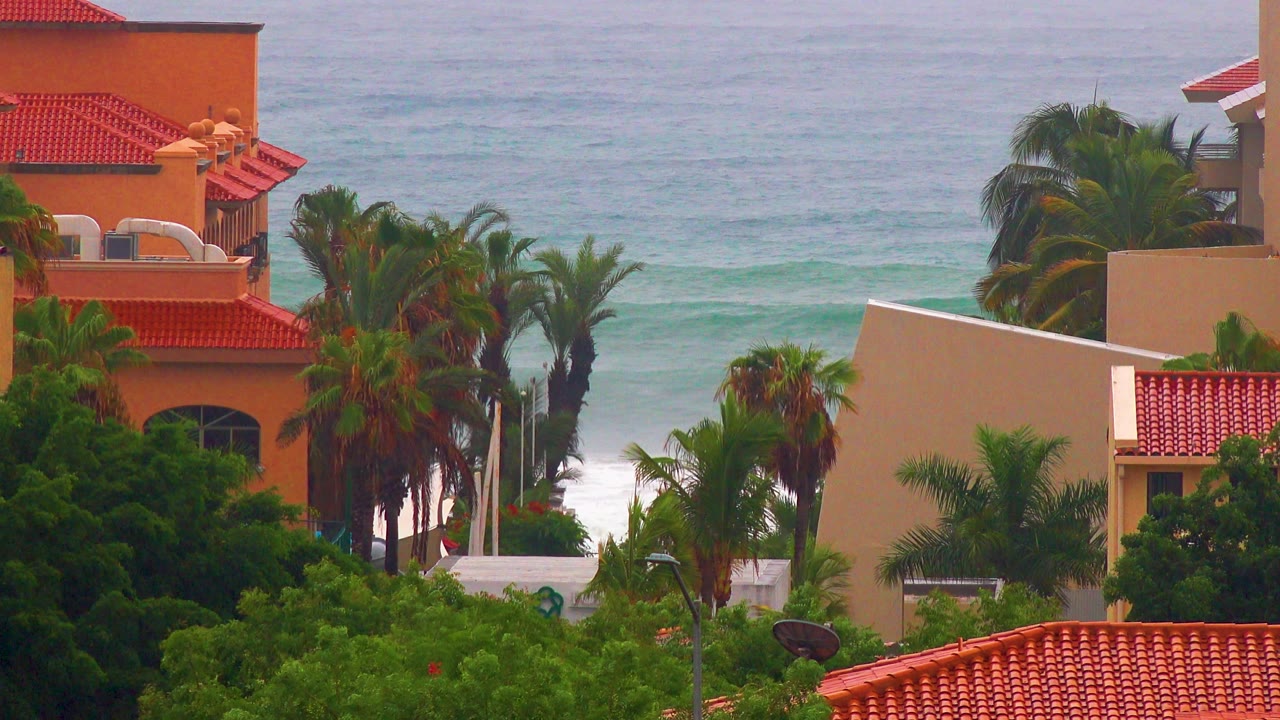 Coastal buildings and palms with sea in the background.