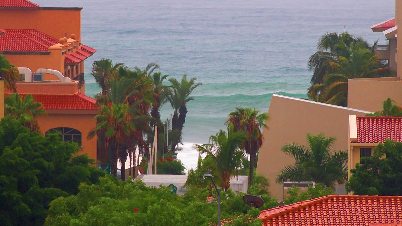 Red roofs and palm crowns frame muted ocean water behind residential buildings in San Jose del Cabo, with no visible people.