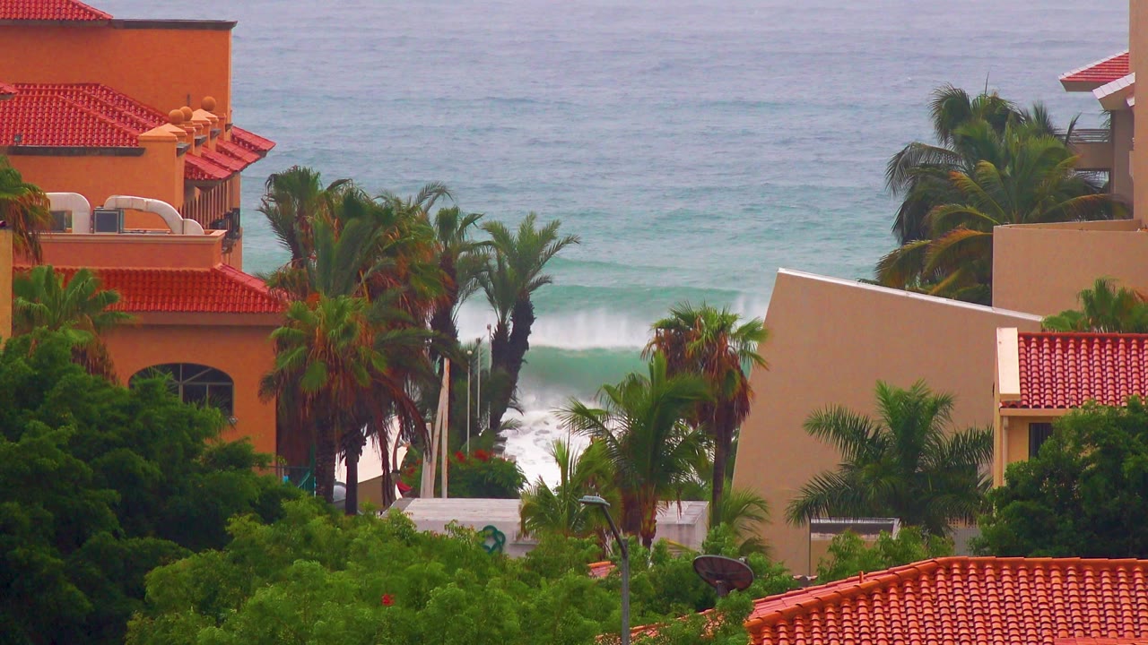 Palm trees and resort-style buildings with waves breaking in the background.