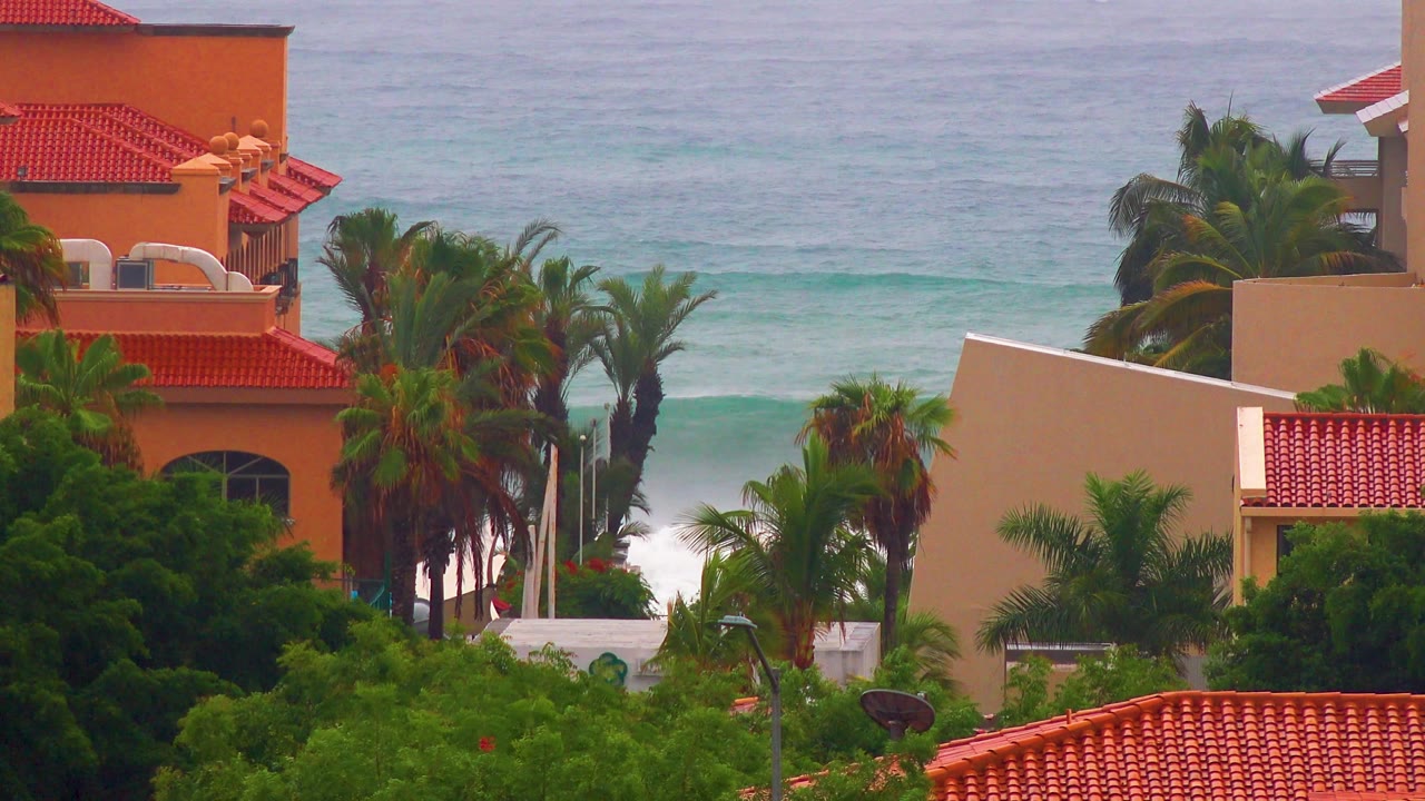 Red rooflines and dense palms cover the lower frame while breaking ocean surf rises behind San Jose del Cabo villas, no visible people.