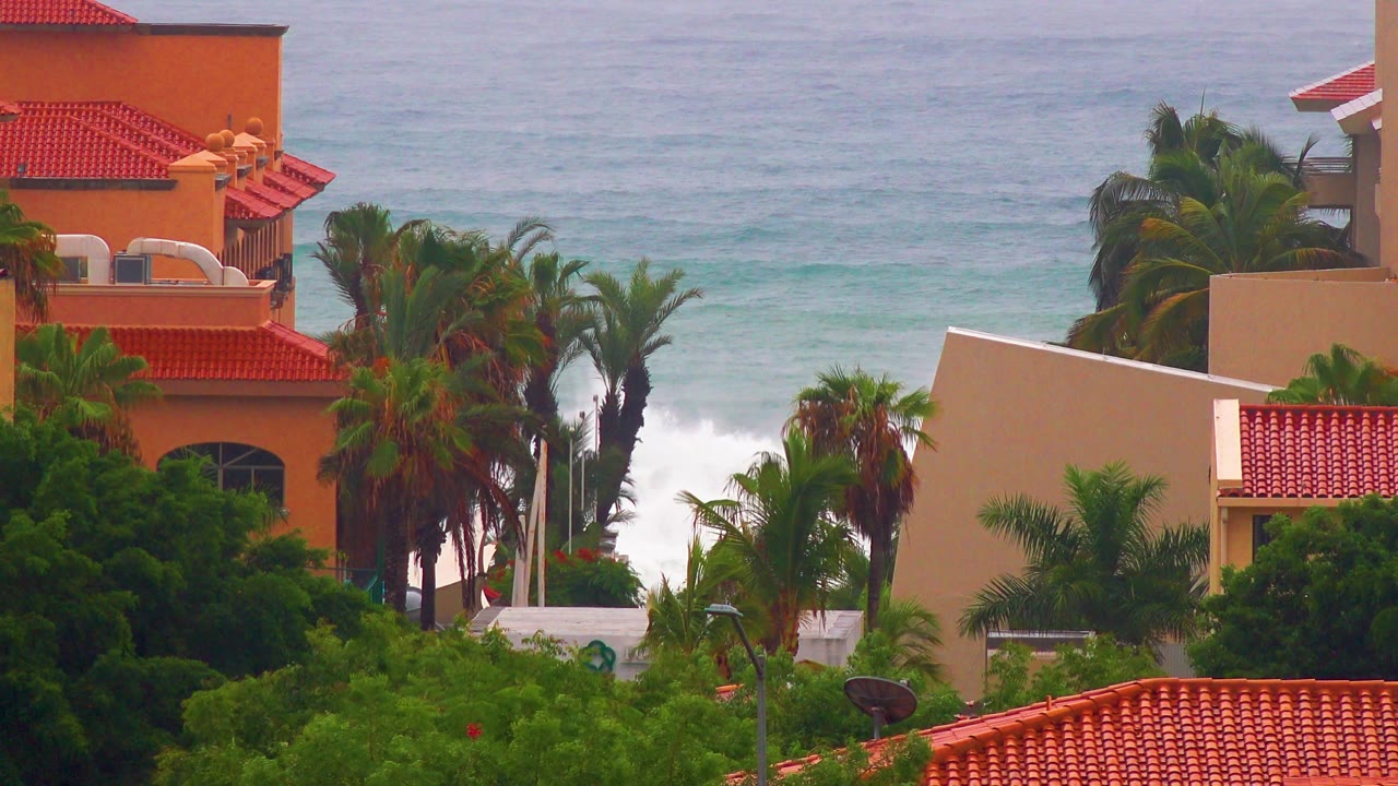San Jose del Cabo coastline view with red roof structures partly obscured by palms, blue gray ocean bands, and white water near shore, with no visible people.