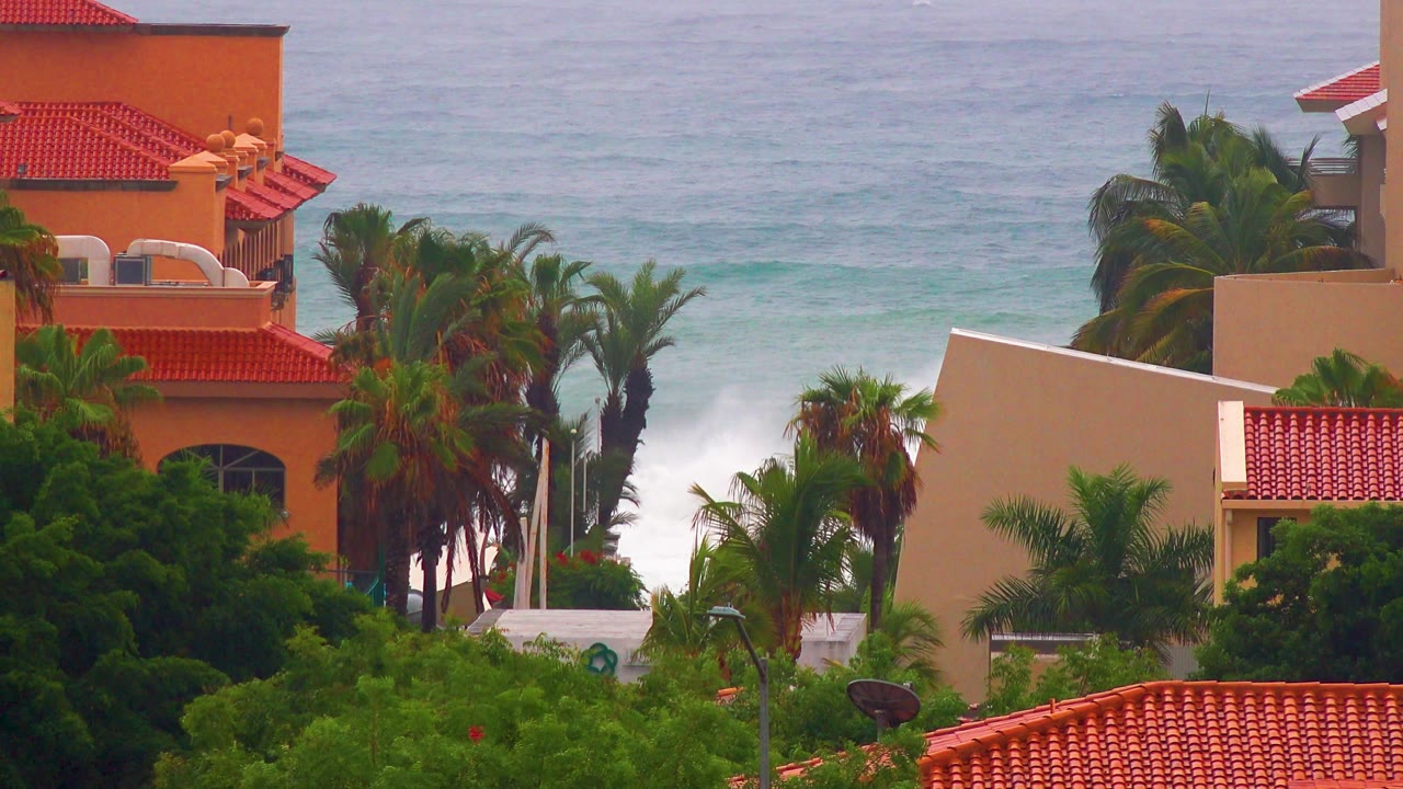 Ocean surf behind palms and orange-toned buildings
