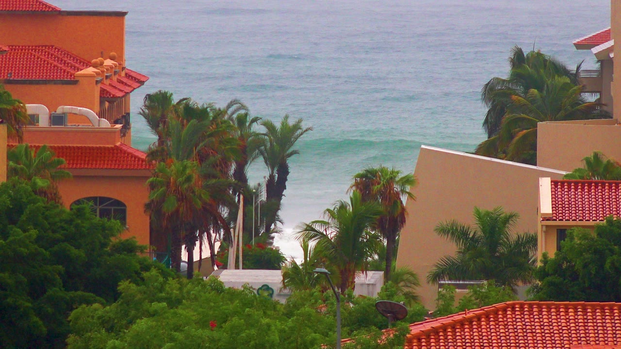San Jose del Cabo stucco houses with red tile roofs stand among palms and dense foliage, with pale ocean surf behind them and no visible people.