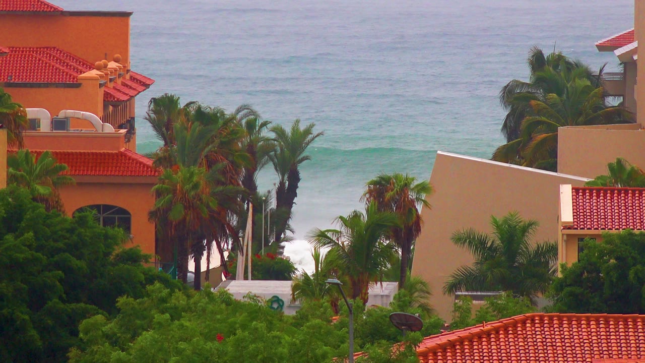 San Jose del Cabo coastal houses are partly screened by tall palms and thick green trees, with soft blue water and white surf beyond them and no visible people.