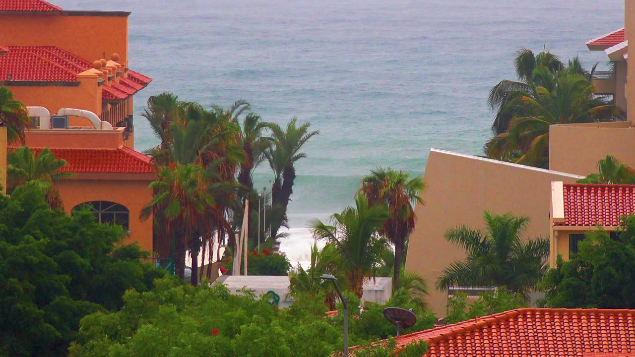 Palm trees and red roof resort buildings in front of the ocean.