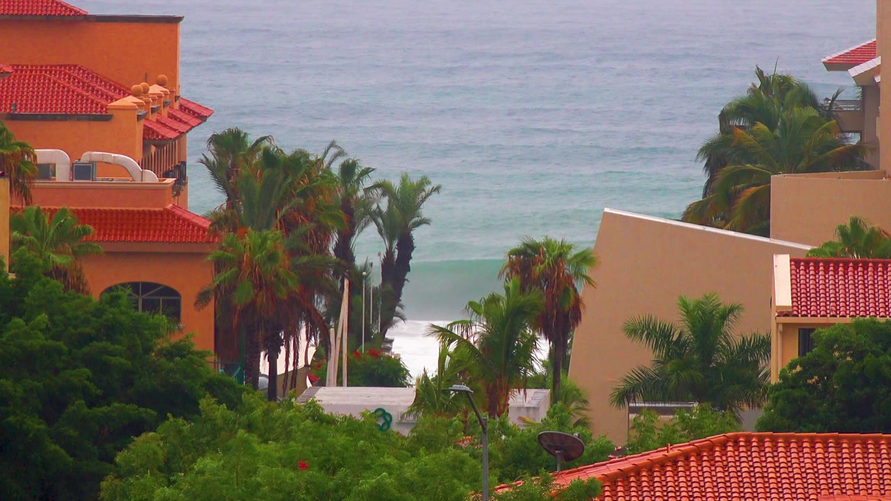 Palm crowns and red rooflines frame a pale gray-blue ocean background in San Jose del Cabo, with white water beginning to show through the trees and no visible people.