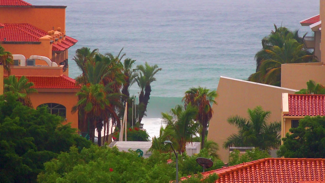 A cluster of palms and red tiled rooftops fills the foreground in San Jose del Cabo while a wider band of white surf forms on the ocean behind, with no visible people.