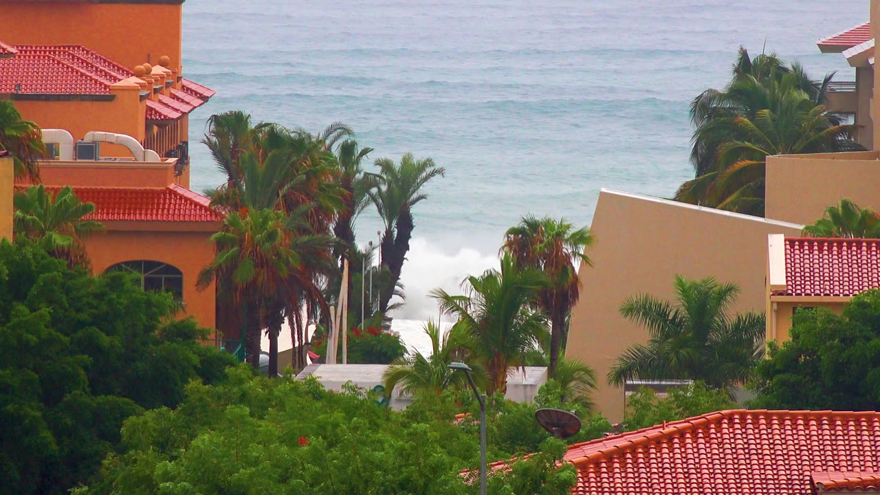 San Jose del Cabo view with dense green trees in the foreground, red roof tiles at the bottom edge, palms at center, and blue ocean waves behind, with no visible people.