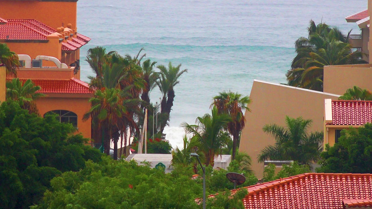 San Jose del Cabo view with an orange building at left, palm trunks near center, tan walls at right, surf behind the roofs, and no visible people.