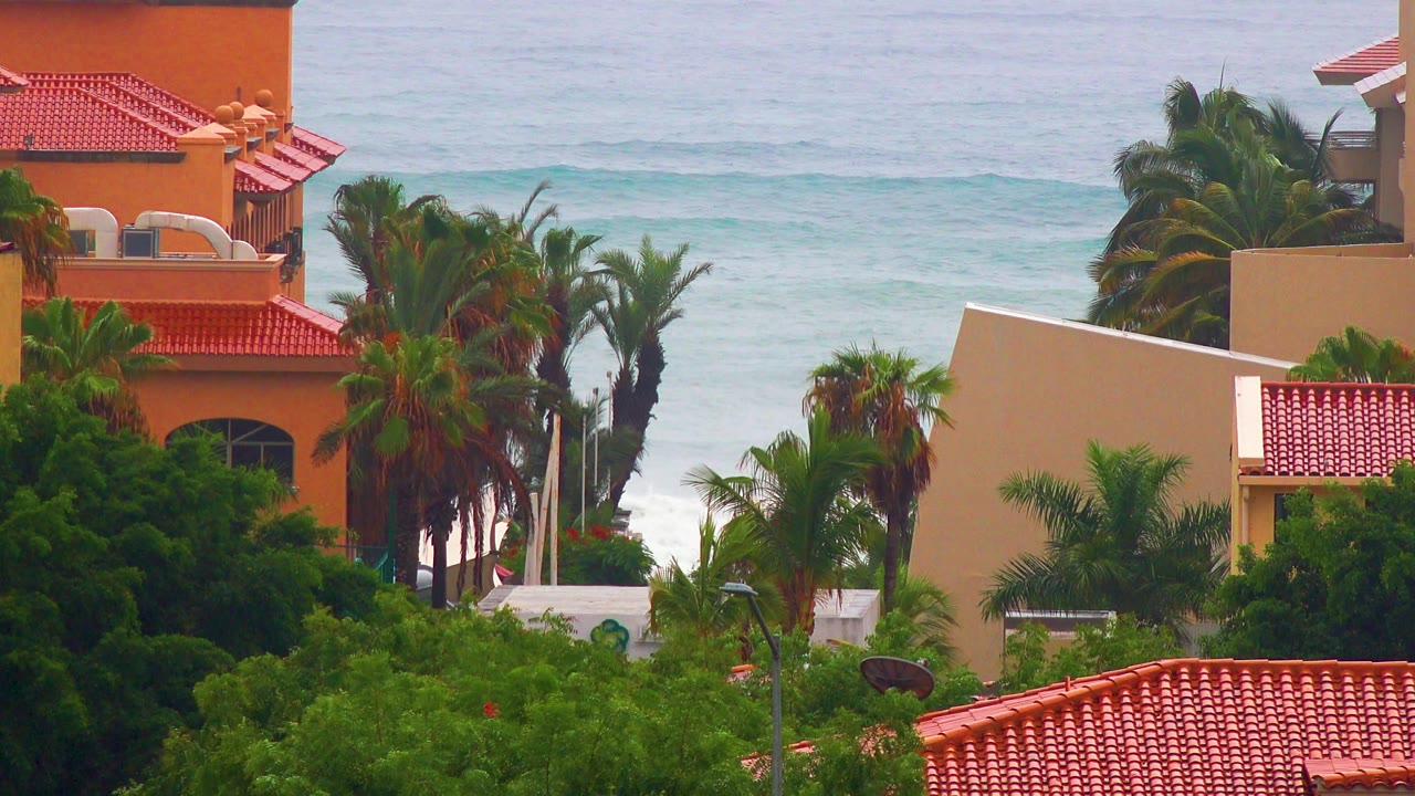 San Jose del Cabo rooftops and palms fill the foreground while the pale blue-gray ocean sits beyond the buildings, with no visible people in frame.