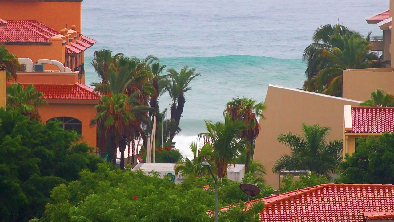 San Jose Del Cabo rooftops and dense palms fill the foreground while a turquoise wave crest rolls across the ocean background, with no visible people.