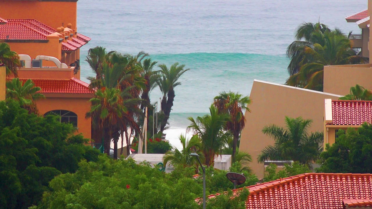 Coastal buildings and palms with white surf partly visible below.