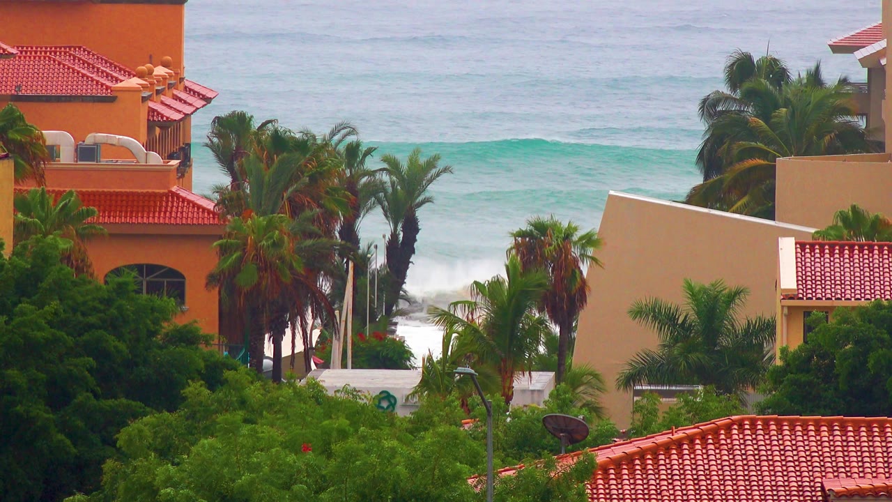 San Jose Del Cabo residential-style roofs and palms frame a slightly brighter line of ocean swell in the background, no visible people.