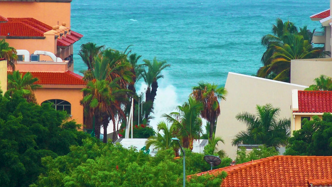 San Jose del Cabo coastal buildings and palm trees fill the frame, with red tile roofs in front of turquoise ocean and no visible people.