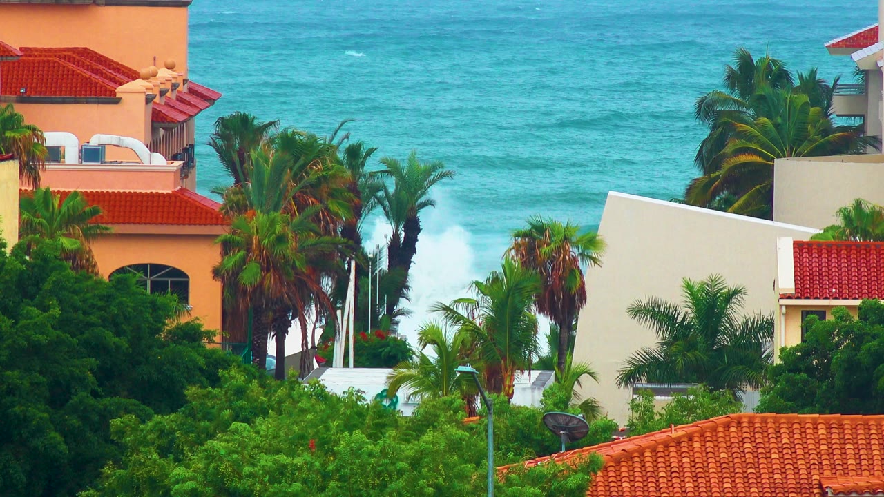 The San Jose del Cabo view holds on palms and red-roofed buildings as white surf shifts behind them, with no visible people.