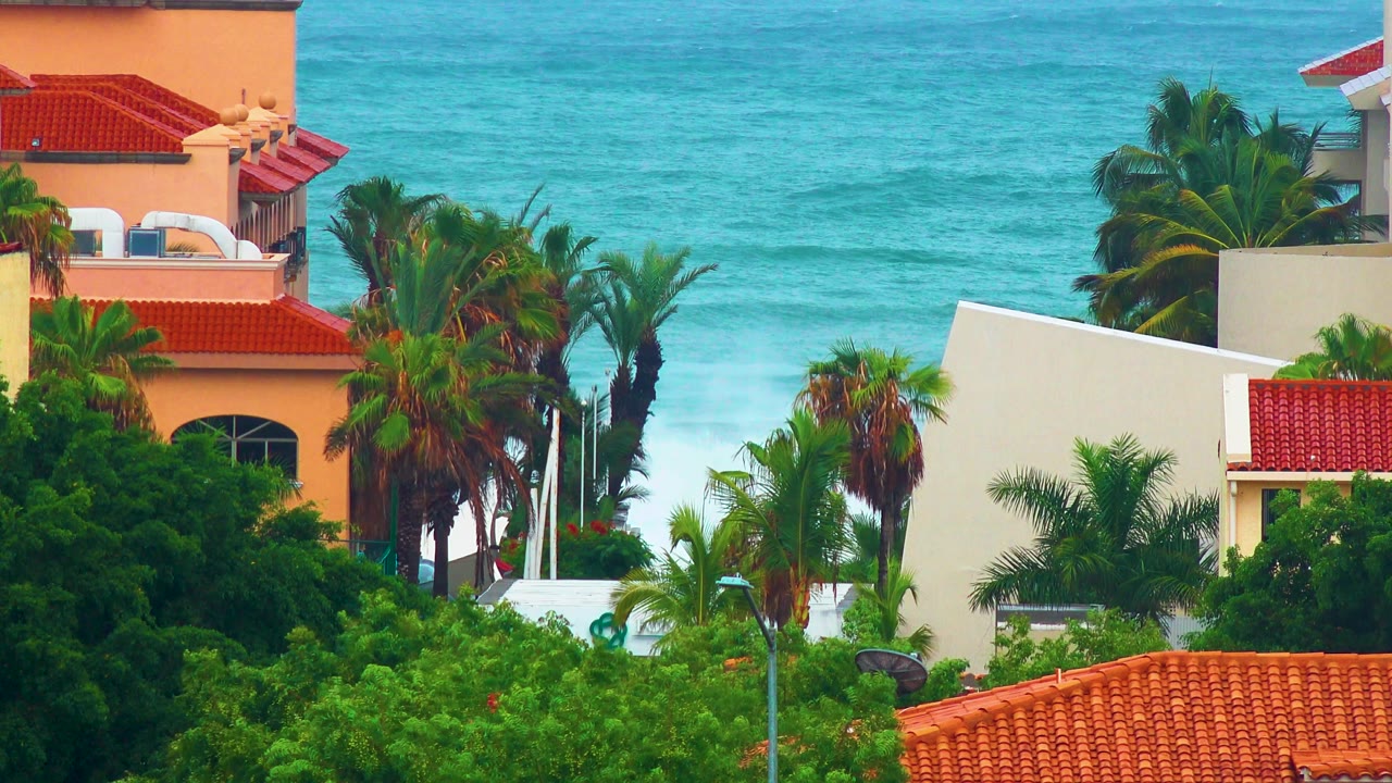 Palm crowns and dense greenery partly obscure San Jose del Cabo buildings, with a bright turquoise ocean band behind them and no visible people.