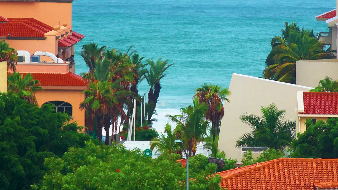 Coastal residence roofs and palms with turquoise sea beyond.