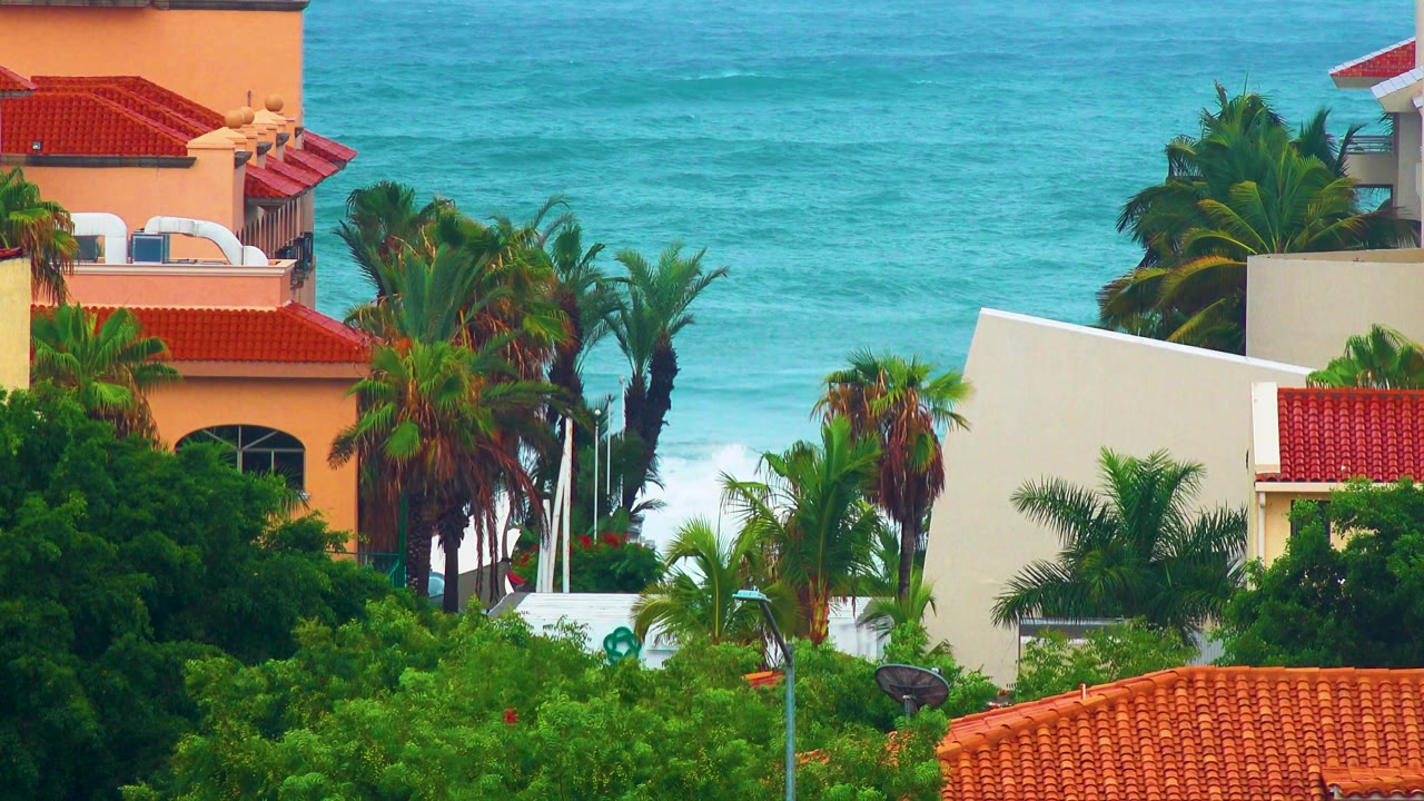 Palms and cream condominium walls in front of blue-green ocean.