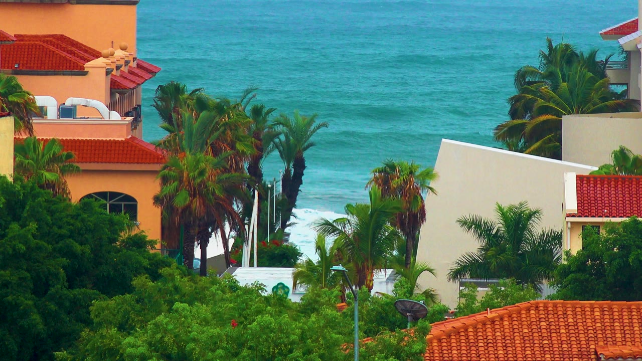 San Jose del Cabo coastal buildings and palm crowns sit before a blue ocean backdrop, with no visible people in the frame.