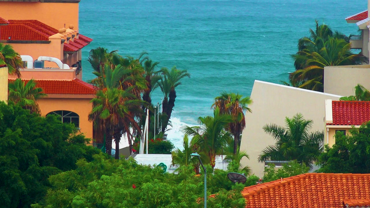 Red-roofed homes, thick greenery, palms, and ocean water.