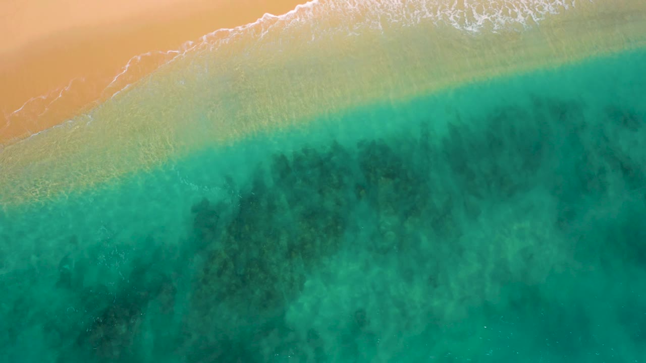 Top-down coastal frame from El Cardoncito, Baja California Sur, with tan sand in the upper band, shallow turquoise water below, dark underwater texture, and no visible people.