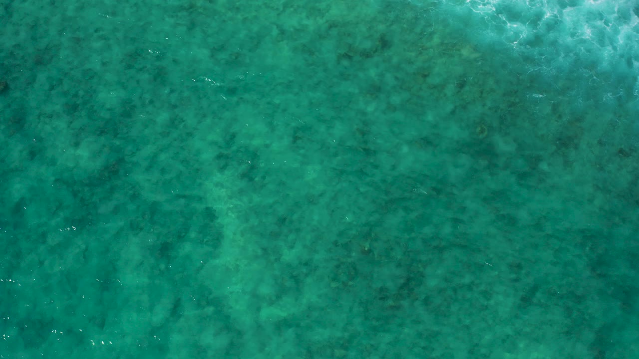 Overhead view of turquoise water at El Cardoncito, Baja California Sur, with mottled submerged texture and no visible people.