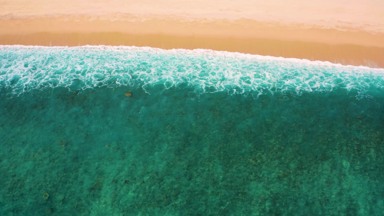 Overhead view of El Cardoncito shoreline with pale sand at the top, white foam crossing the frame, clear turquoise water below, and no visible people.