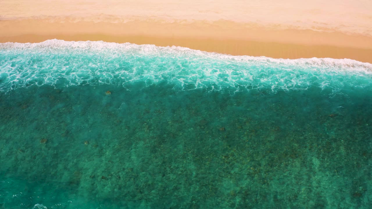 Clear coastal water below a narrow strip of sand and surf.