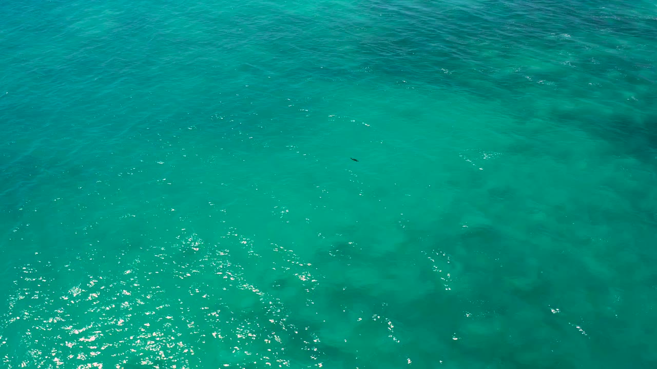 Clear teal water seen from above with ripples and scattered dark areas below.