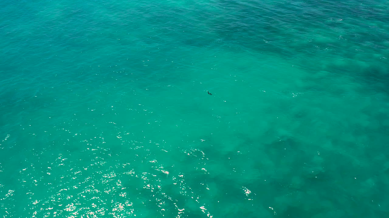 Top-down view of turquoise coastal water in El Cardoncito, Baja California Sur, where darker underwater forms sit beneath rippled sunlight and no visible people appear.