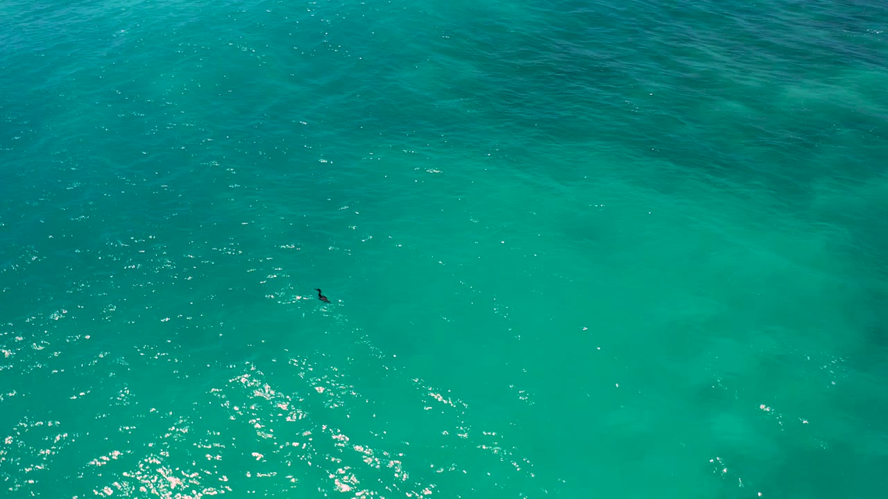 A small dark bird is visible over turquoise sea in El Cardoncito, with darker patches beneath the water and scattered sun flecks, no visible people.