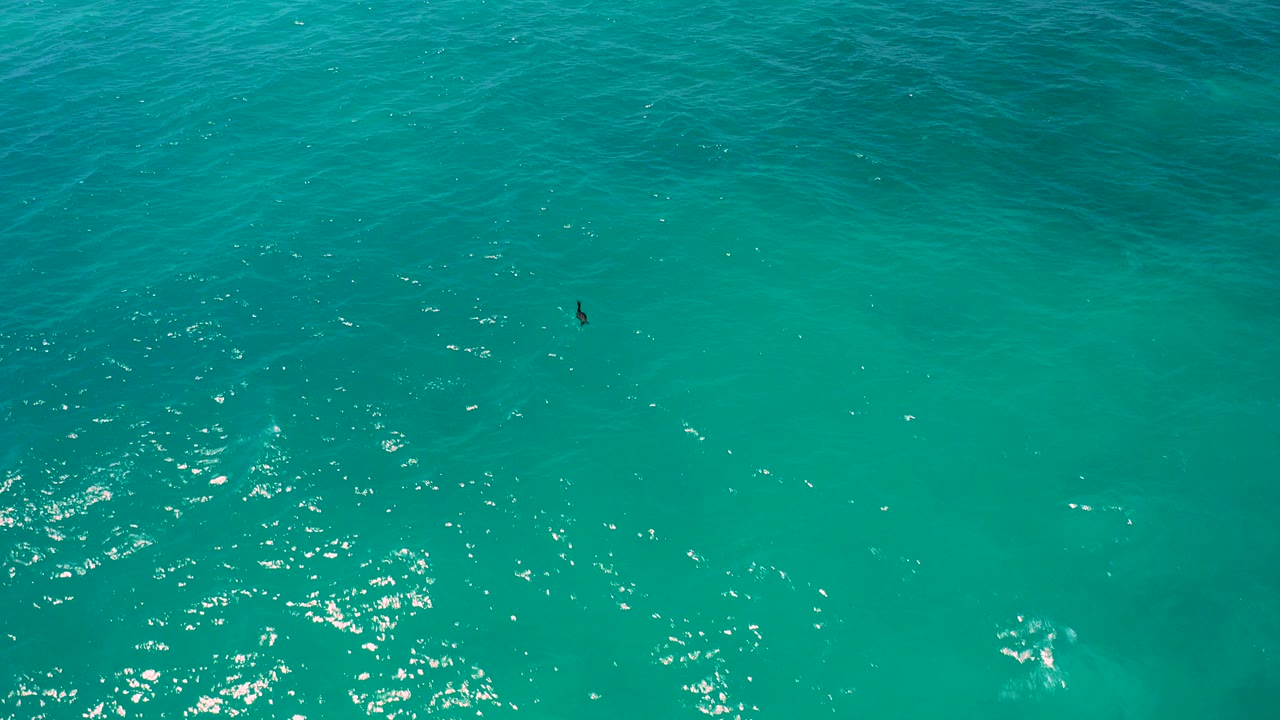 Top-down view of clear turquoise water in El Cardoncito, Baja California Sur, with bright surface glints, faint submerged patches, a tiny dark fish-like shape, and no visible people.
