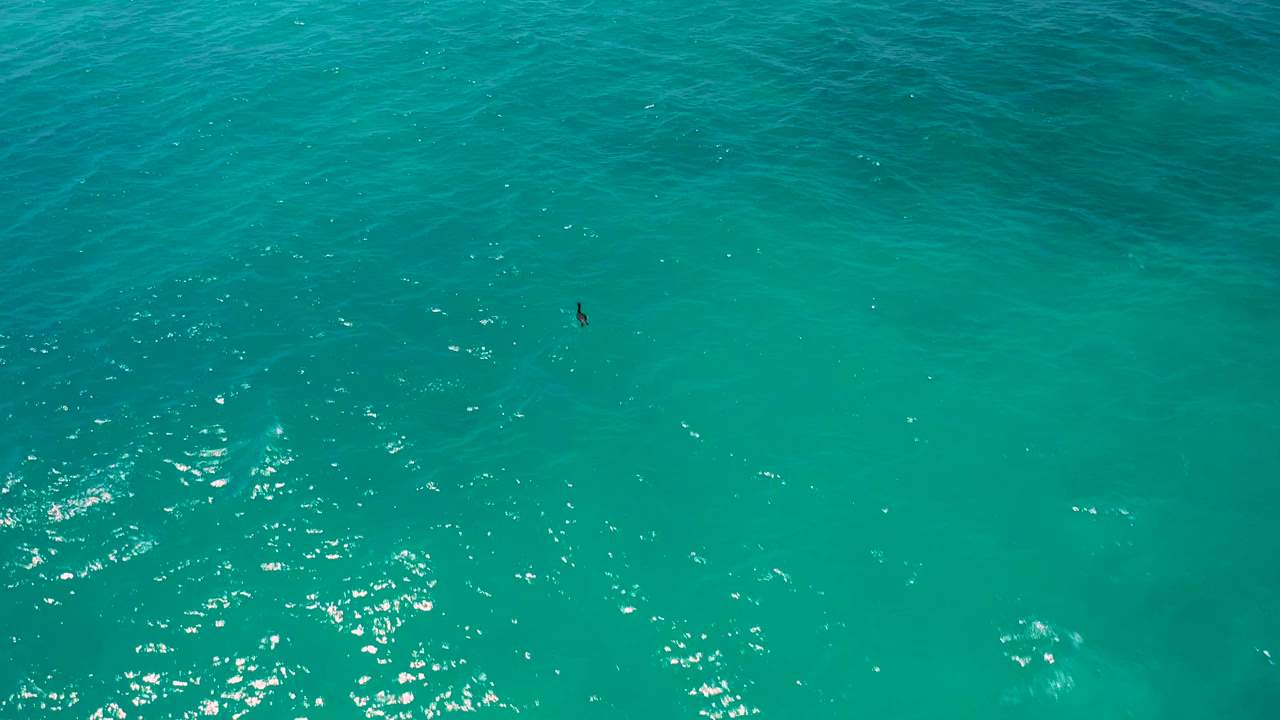 Clear green-blue ocean water fills the frame in El Cardoncito, with wind ripples, scattered bright reflections, darker submerged areas, and no visible people.