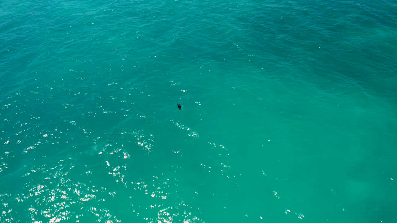 Overhead turquoise sea in El Cardoncito shows shimmering sunlight, soft wave texture, pale depth variation, a small dark fish-like mark near the upper area, and no visible people.