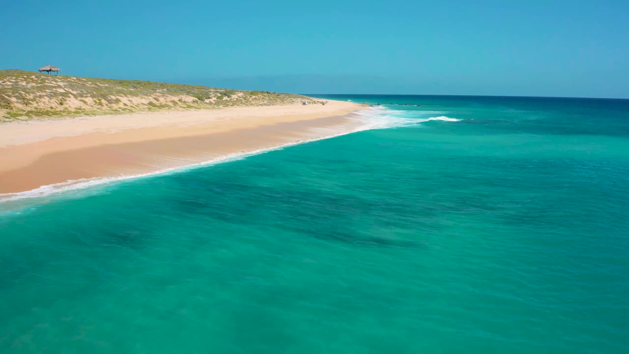 Drone view at El Cardoncito showing clear blue-green water taking most of the frame, a sand strip along the left, low vegetation above the beach, and no visible people.