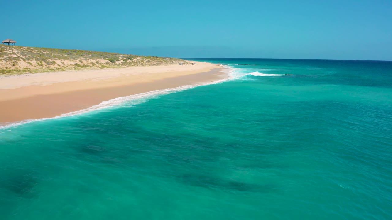 Aerial shoreline frame at El Cardoncito with foamy waves tracing the sand, blue-green water filling the lower frame, vegetated dunes at left, and no visible people.