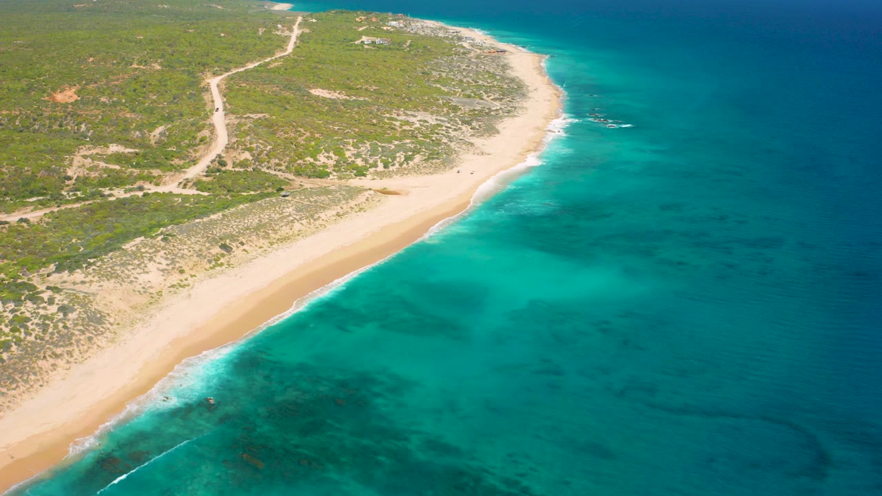 High aerial view over El Cardoncito showing a pale sandy beach curving between green coastal vegetation and turquoise ocean, with no visible people.