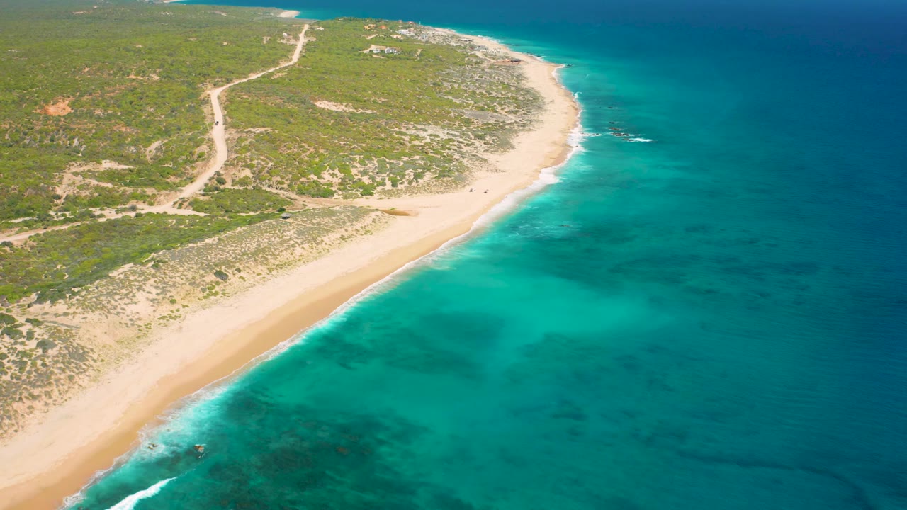 Aerial view over El Cardoncito showing the sandy beach crossing the lower half of the frame, a pale dirt road through green scrub, clear blue water, and no visible people.