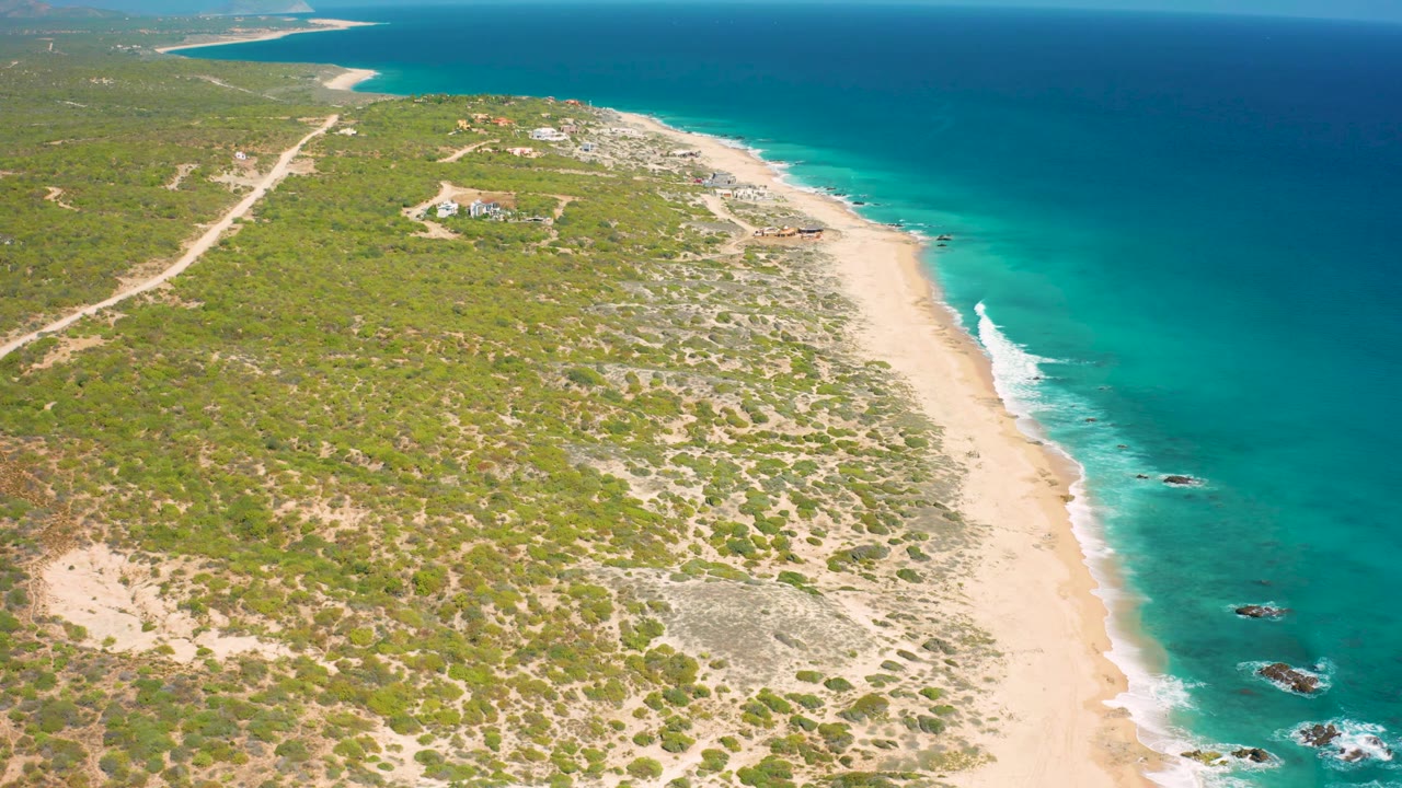 High aerial view of El Cardoncito coastline with deep blue water across the upper right, a pale beach curving through frame, scrub-covered land to the left, and no visible people.