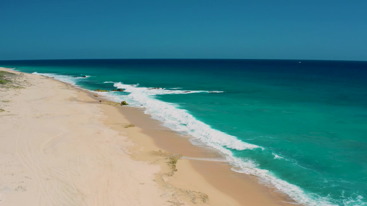 The frame shows El Cardoncito surf curling across a wide pale beach, with a small patch of beach vegetation near the wave line and no visible people.