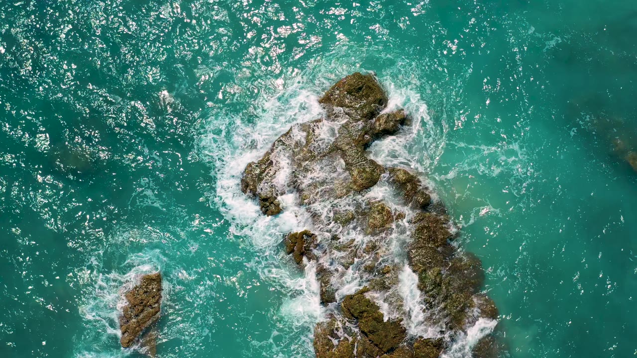 A long algae-coated rock sits right of center in El Cardoncito water as white foam spreads across its upper edge, with no visible people.