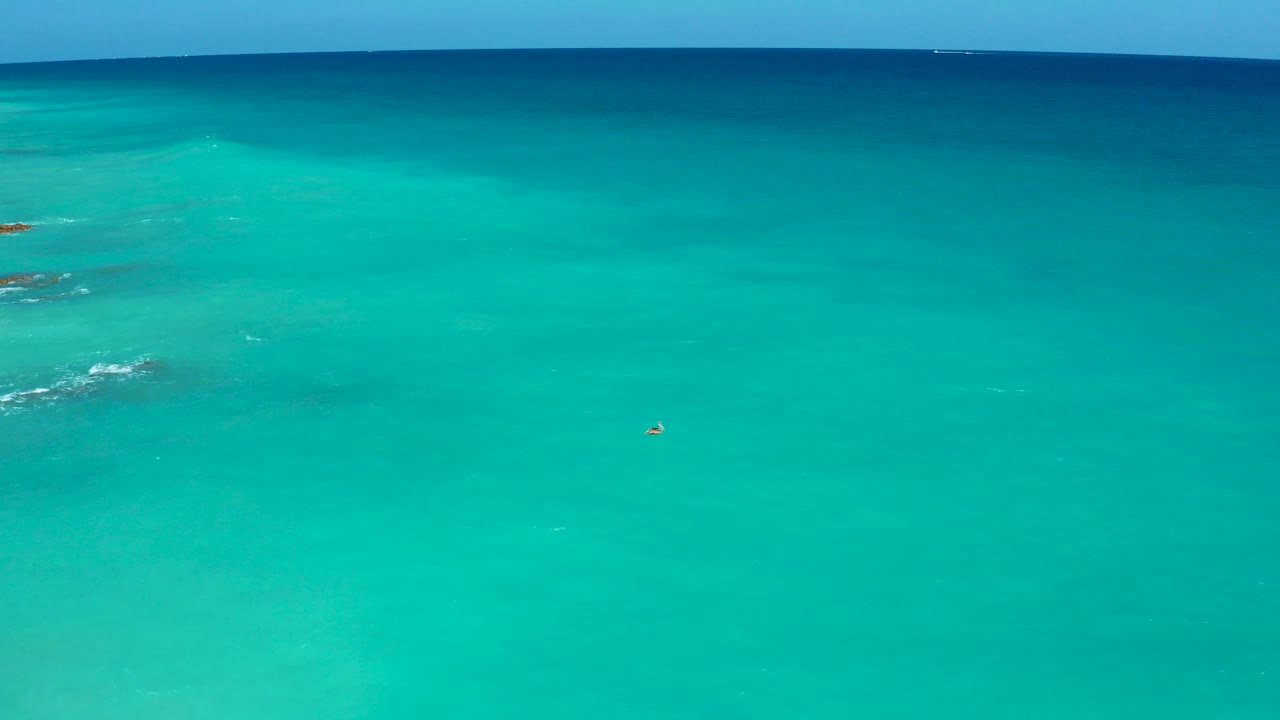 Early frame of turquoise sea off El Cardoncito, Baja California Sur, with a dark blue horizon band, faint white wave breaks, and no visible people.