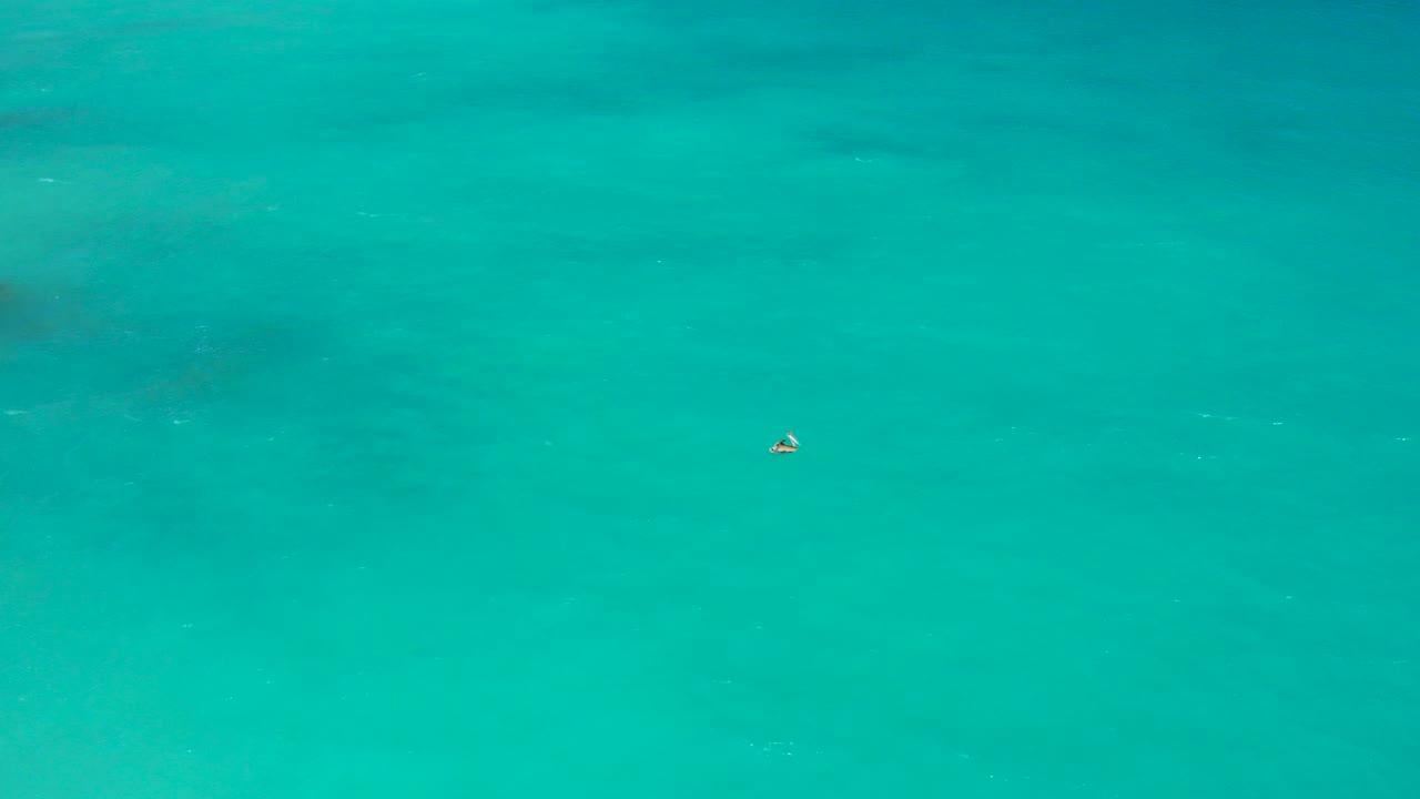 A small waterbird sits near the center of a wide overhead turquoise ocean frame in El Cardoncito, Baja California Sur, with faint darker algae patches and no visible people.