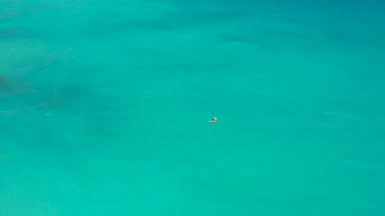 The waterbird remains small and centered in an overhead view of green-blue ocean water in El Cardoncito, with soft underwater color variation and no visible people.