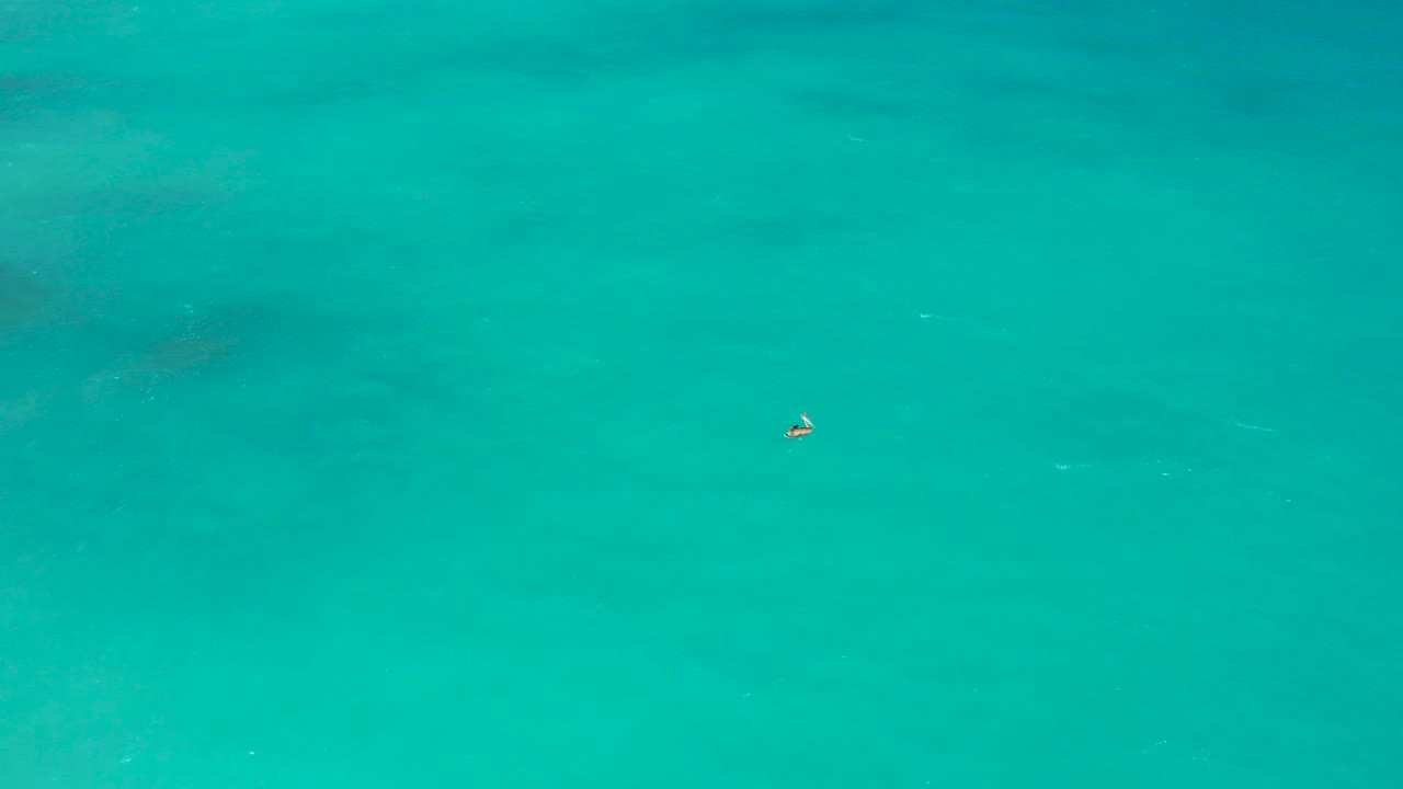 A distant waterbird is visible against bright turquoise seawater in El Cardoncito, Baja California Sur, with sparse surface texture and no visible people.