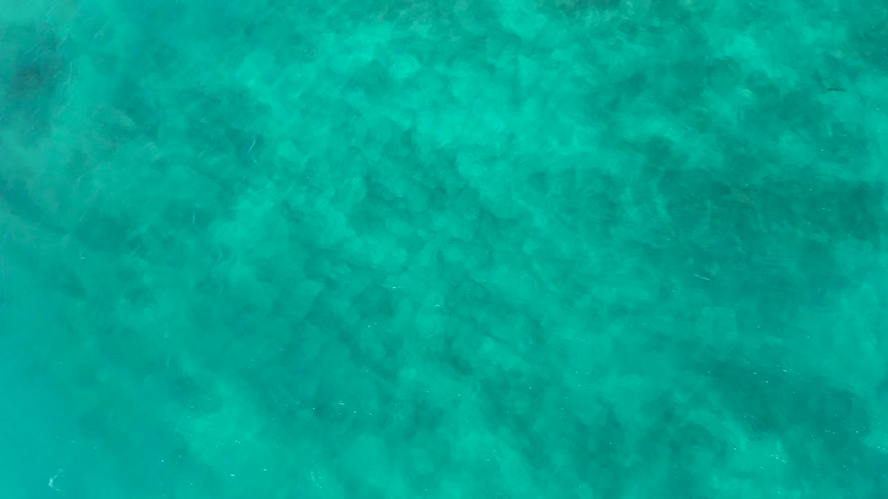 Direct overhead view of green-blue ocean water in Baja California Sur, with diffuse dark patches and no visible people.