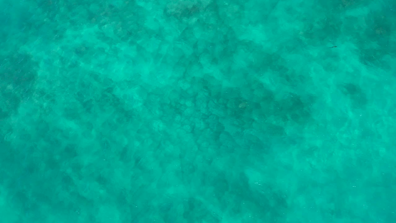 Overhead turquoise ocean water with darker seabed patches.