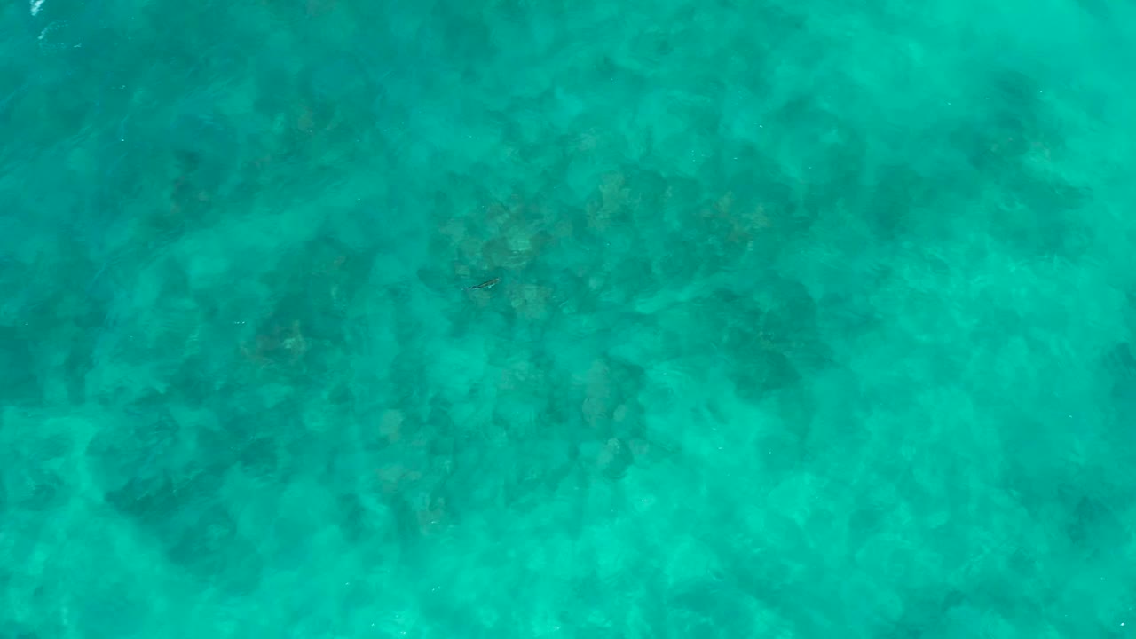 Clear turquoise water over rocky seabed with a small fish